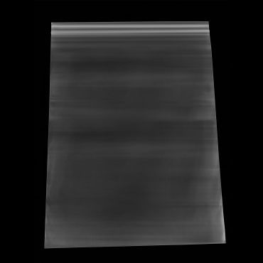 Clear 10 x 12 in reclosable poly bag, 2 mil